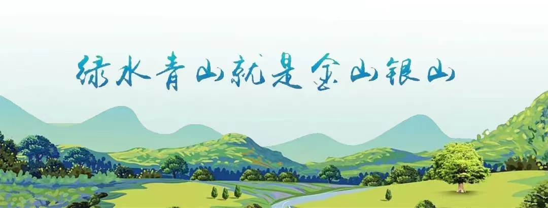 输入图片说明
