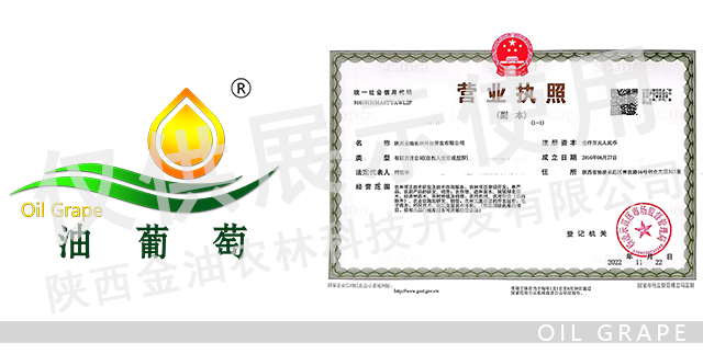 输入图片说明