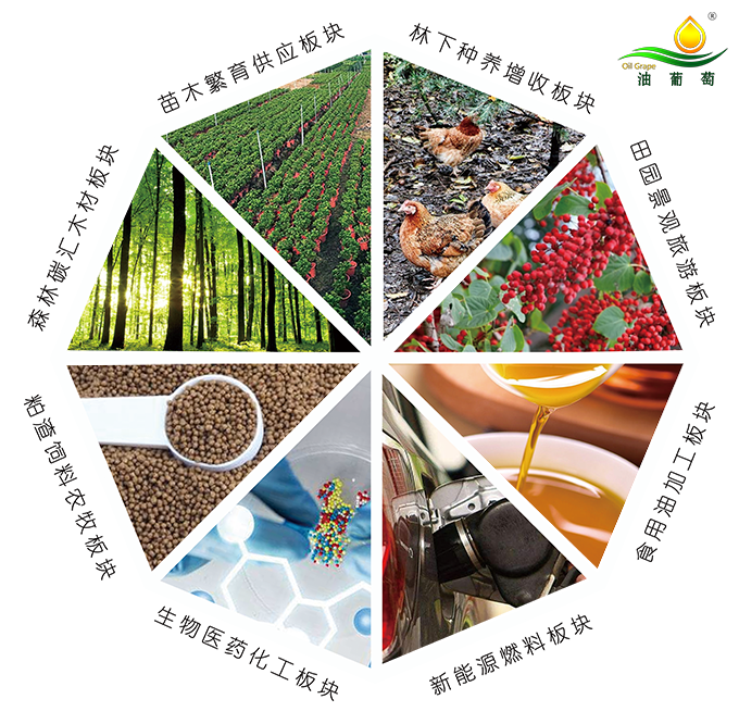 输入图片说明