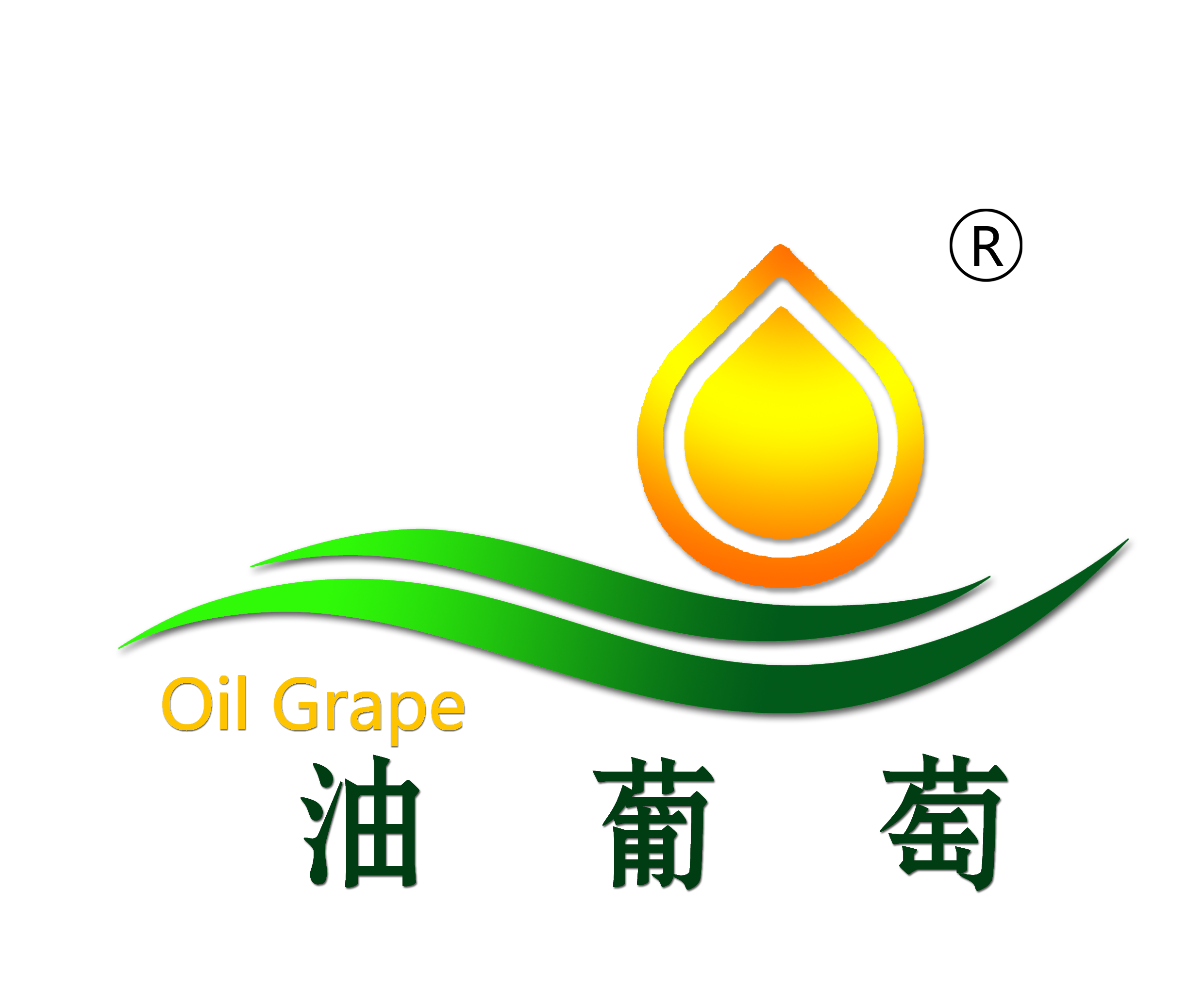 输入图片说明