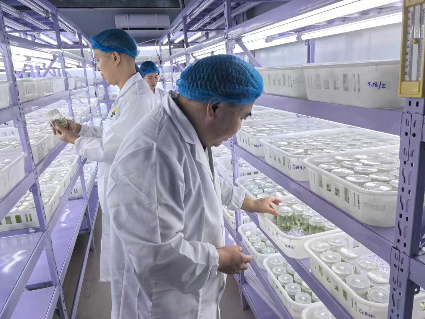 输入图片说明