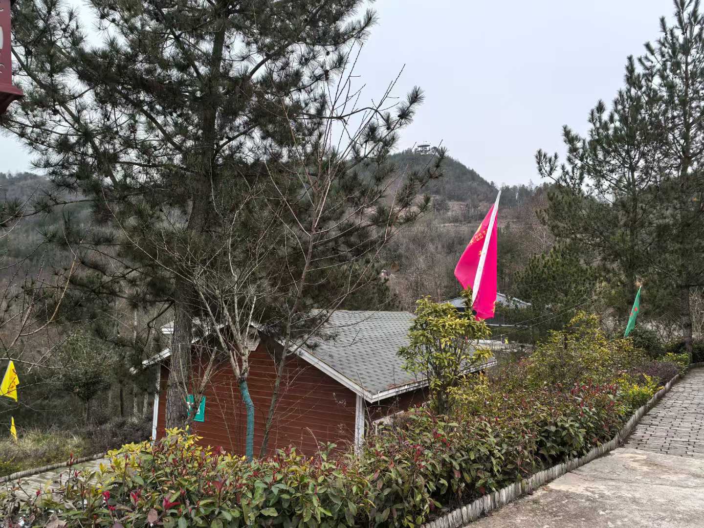 输入图片说明