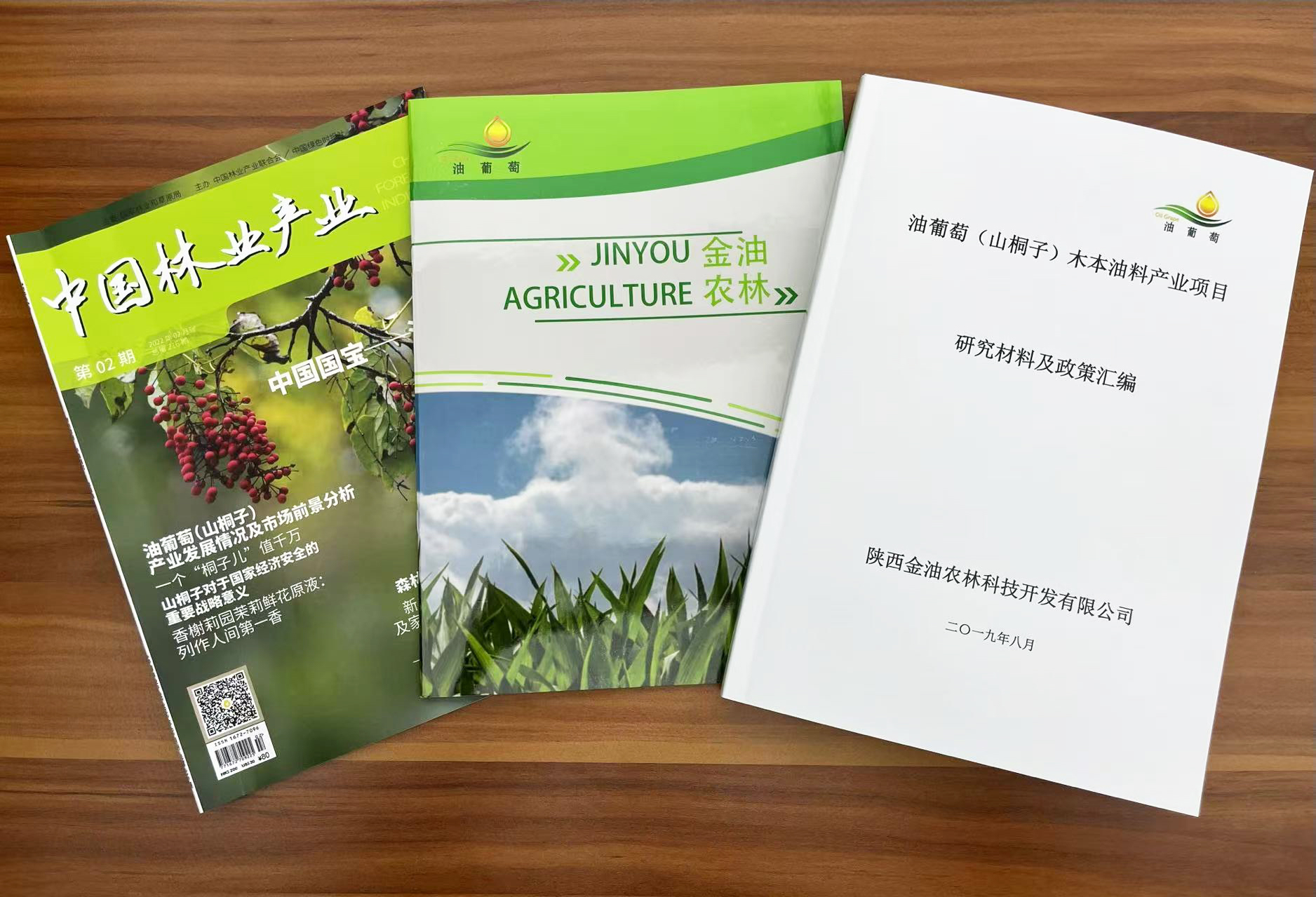 输入图片说明
