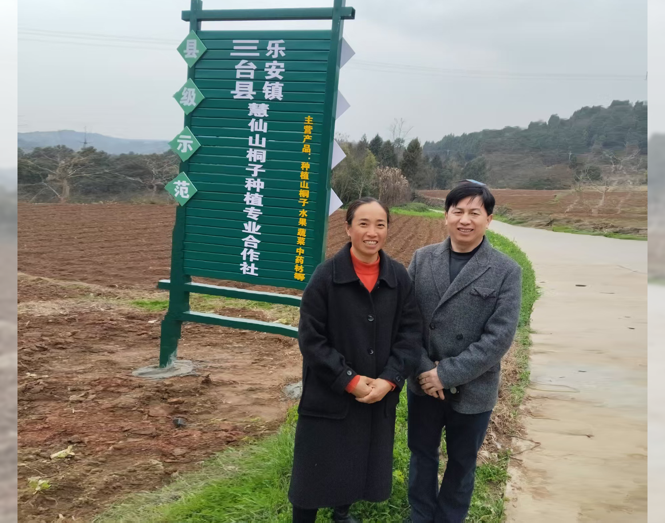 输入图片说明