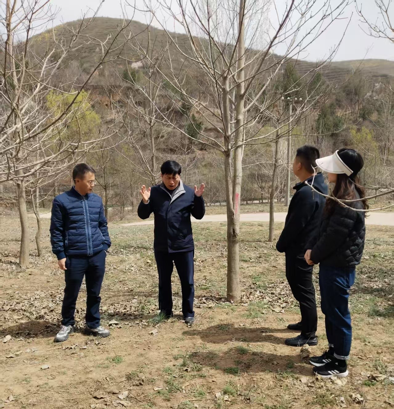 输入图片说明