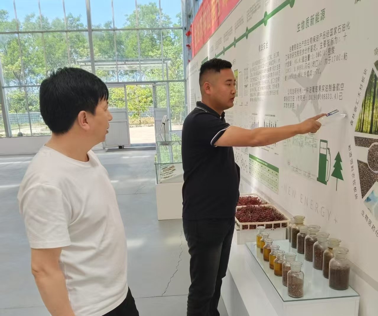 输入图片说明