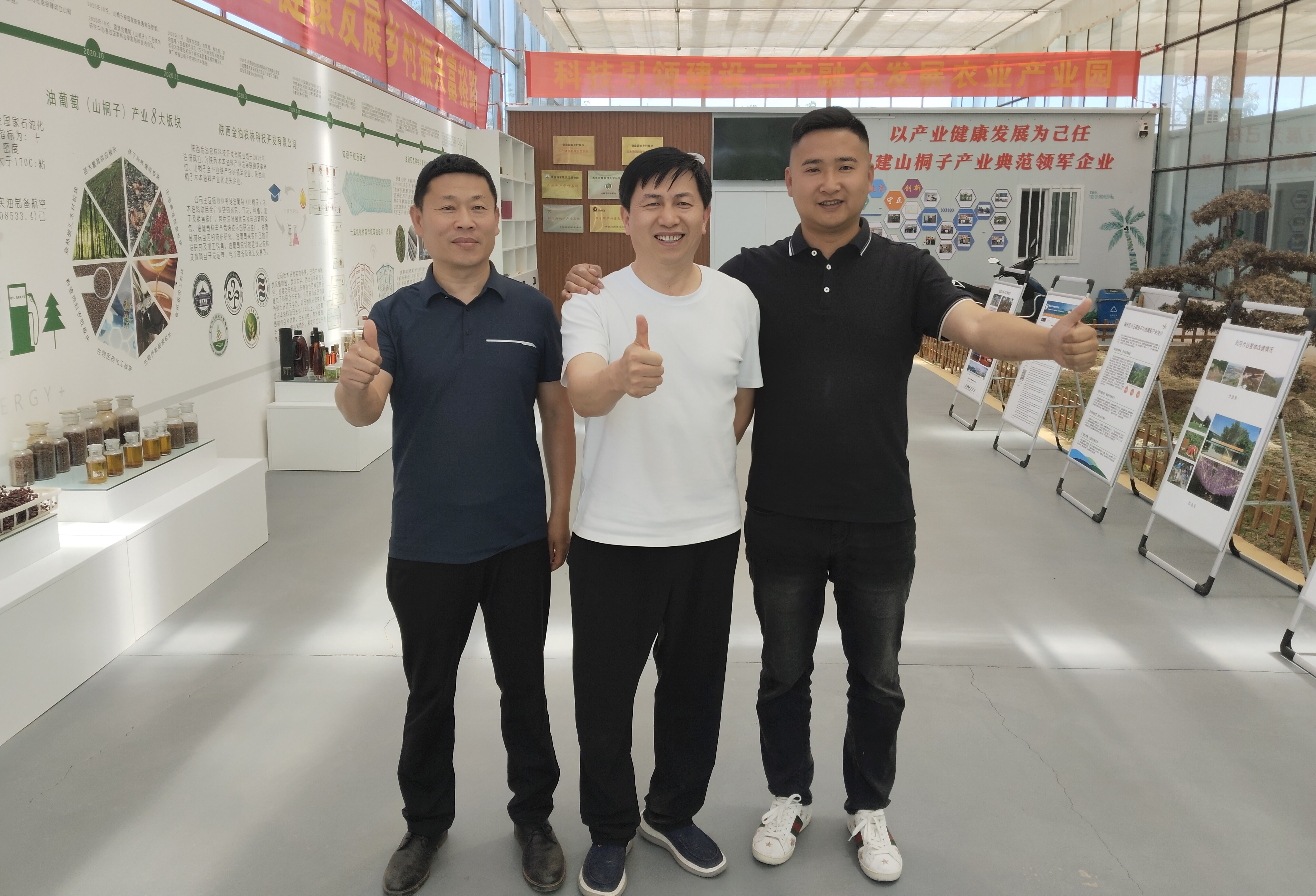 输入图片说明
