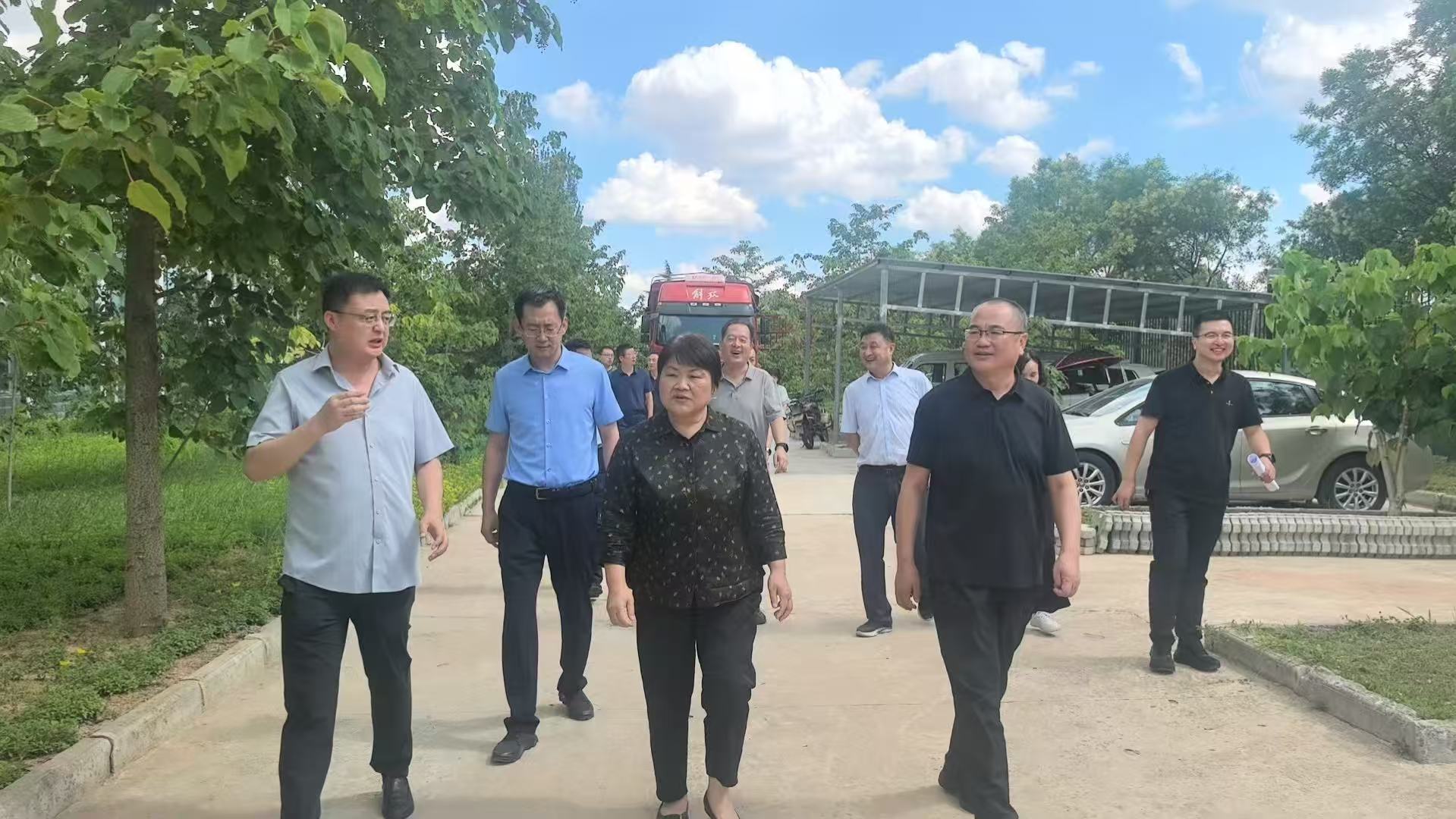 输入图片说明