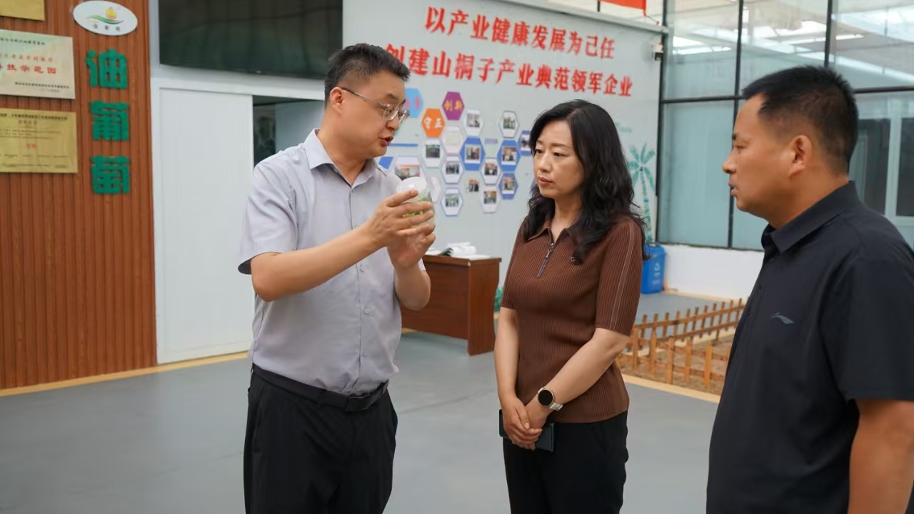 输入图片说明