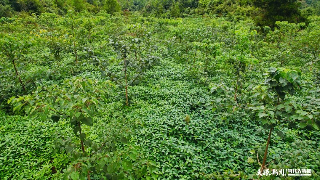 输入图片说明 输入图片说明