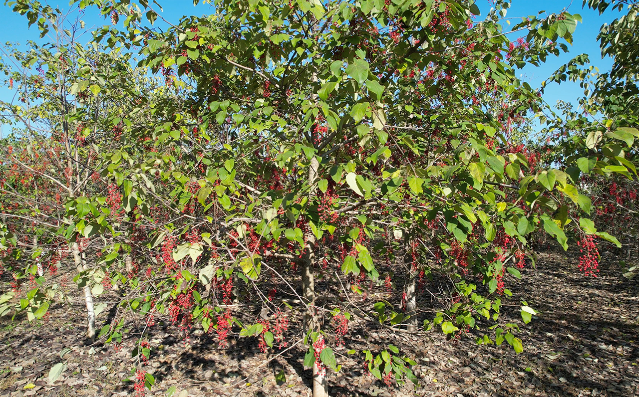 输入图片说明 输入图片说明
