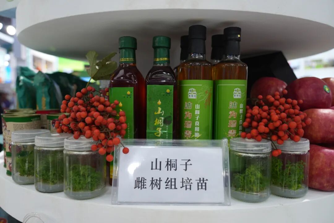 输入图片说明 输入图片说明