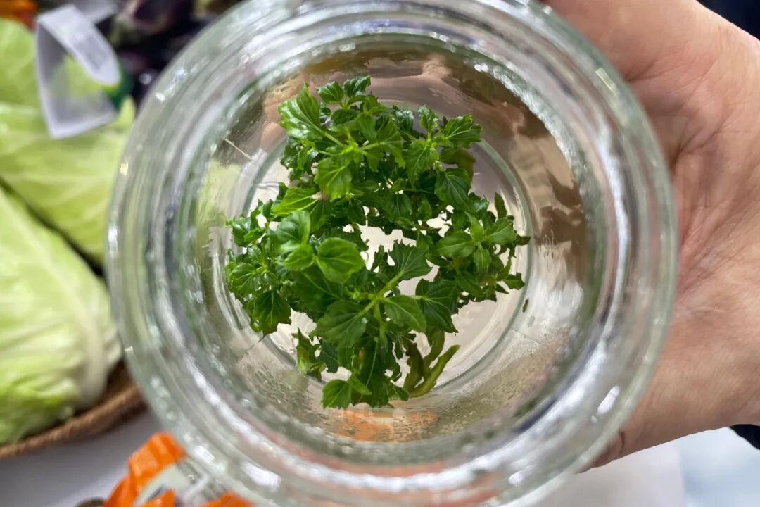 输入图片说明 输入图片说明