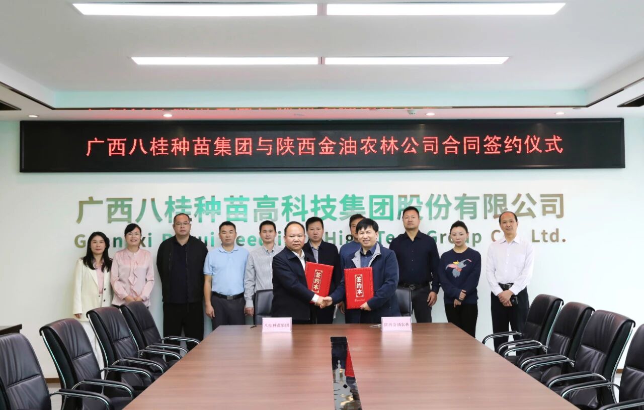 输入图片说明 输入图片说明