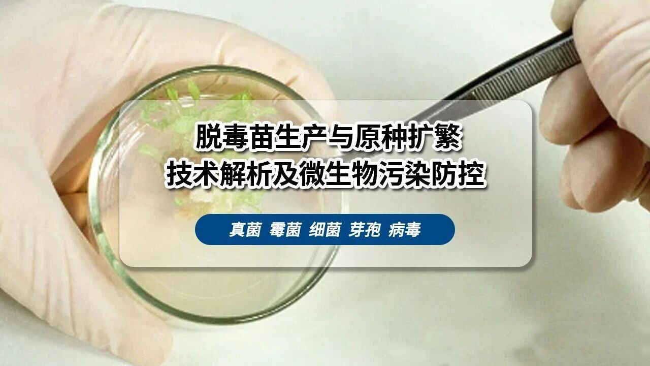 输入图片说明 输入图片说明