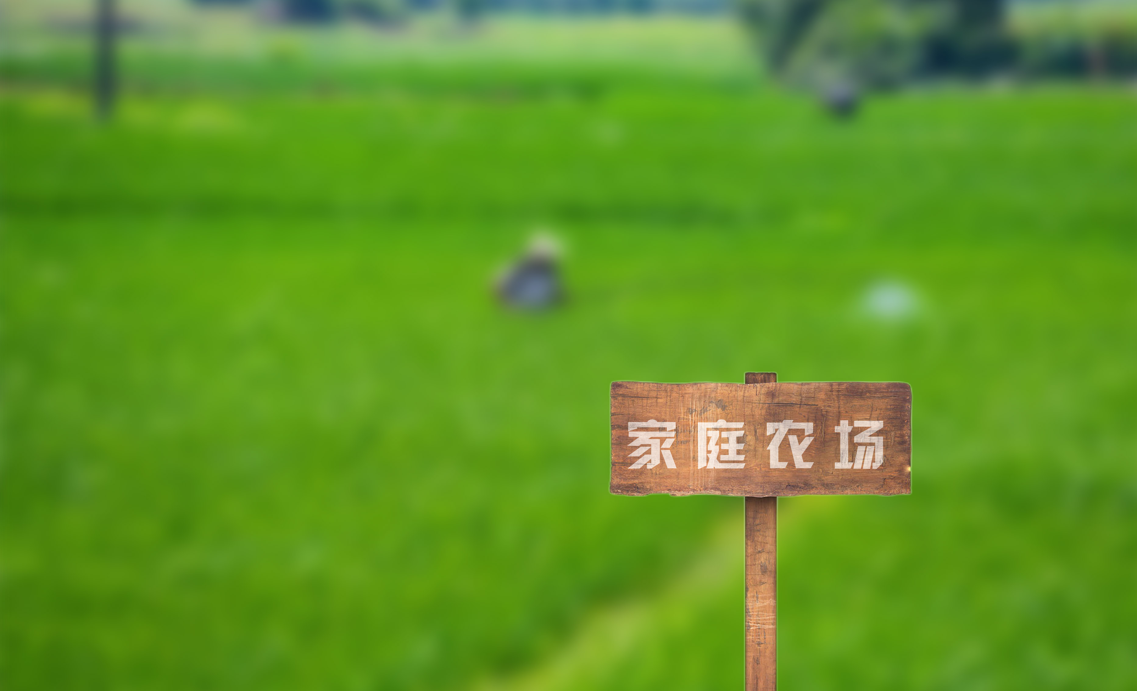 输入图片说明 输入图片说明