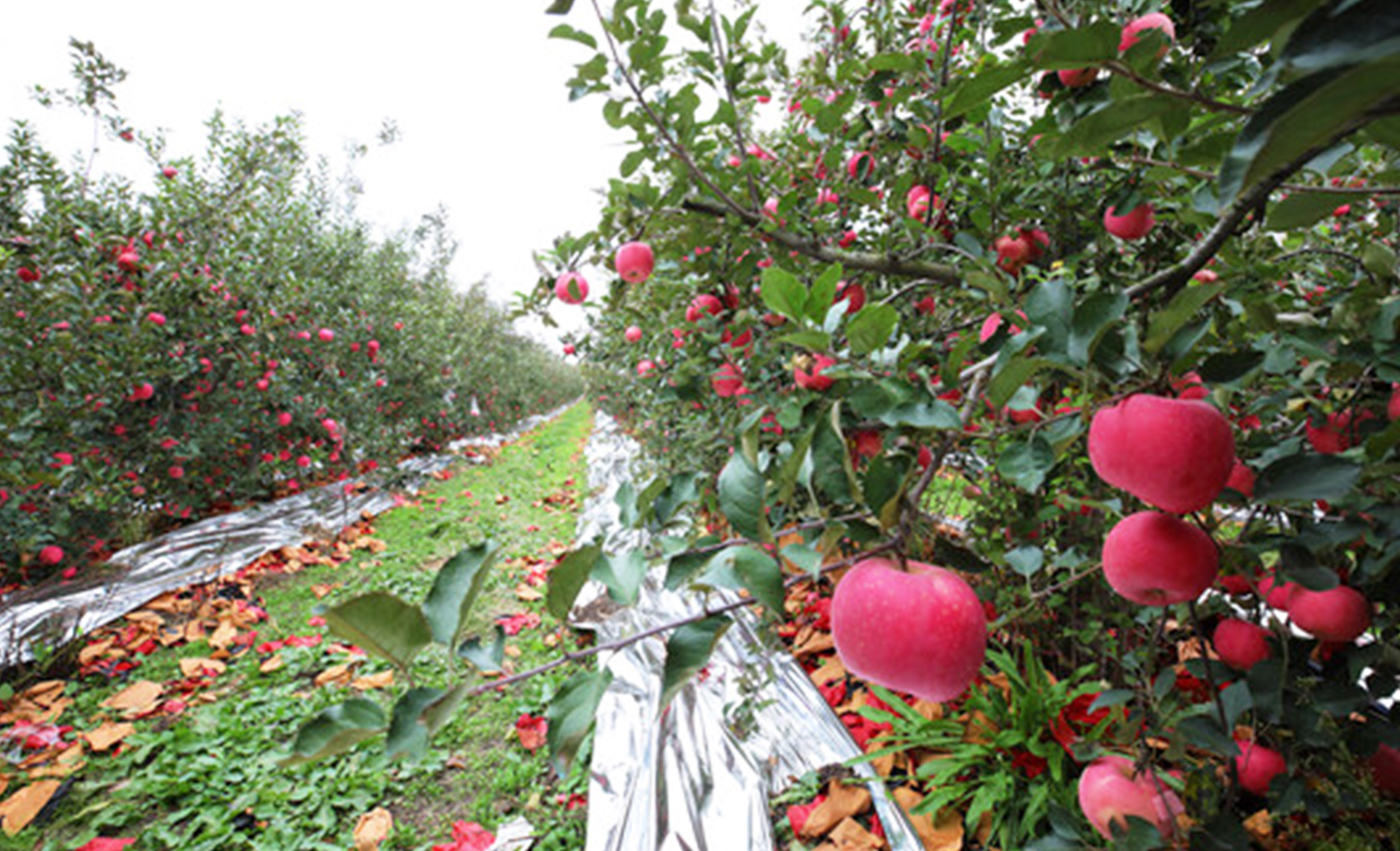 输入图片说明 输入图片说明