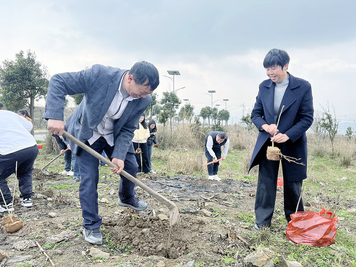 输入图片说明 输入图片说明