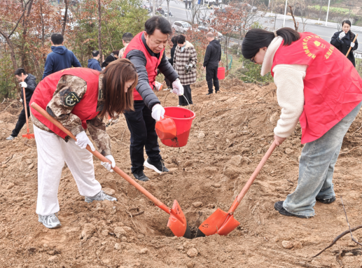 输入图片说明 输入图片说明