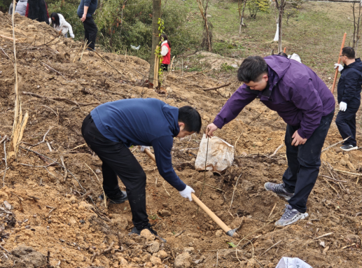 输入图片说明 输入图片说明