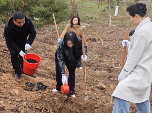 输入图片说明 输入图片说明