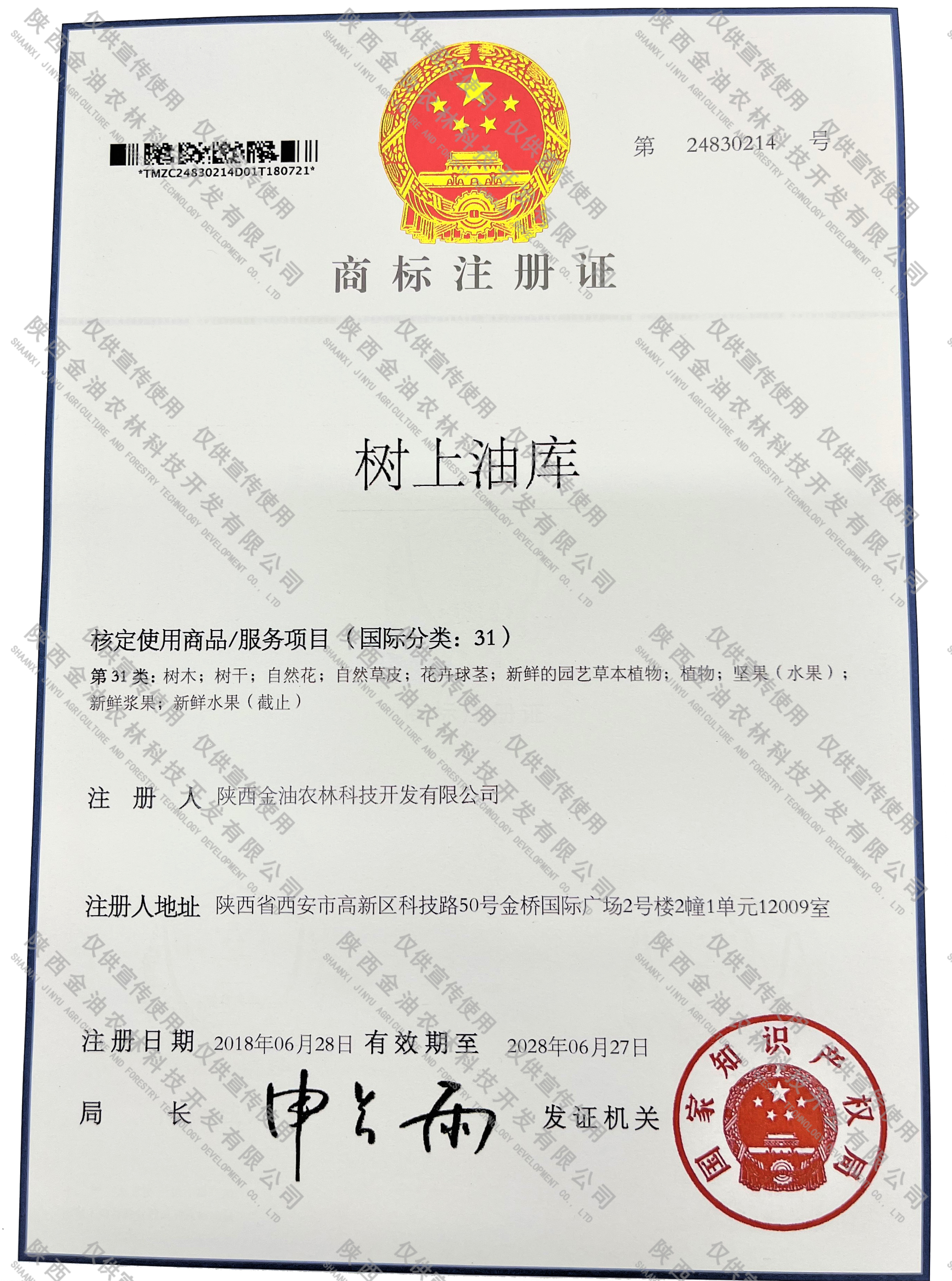 输入图片说明
