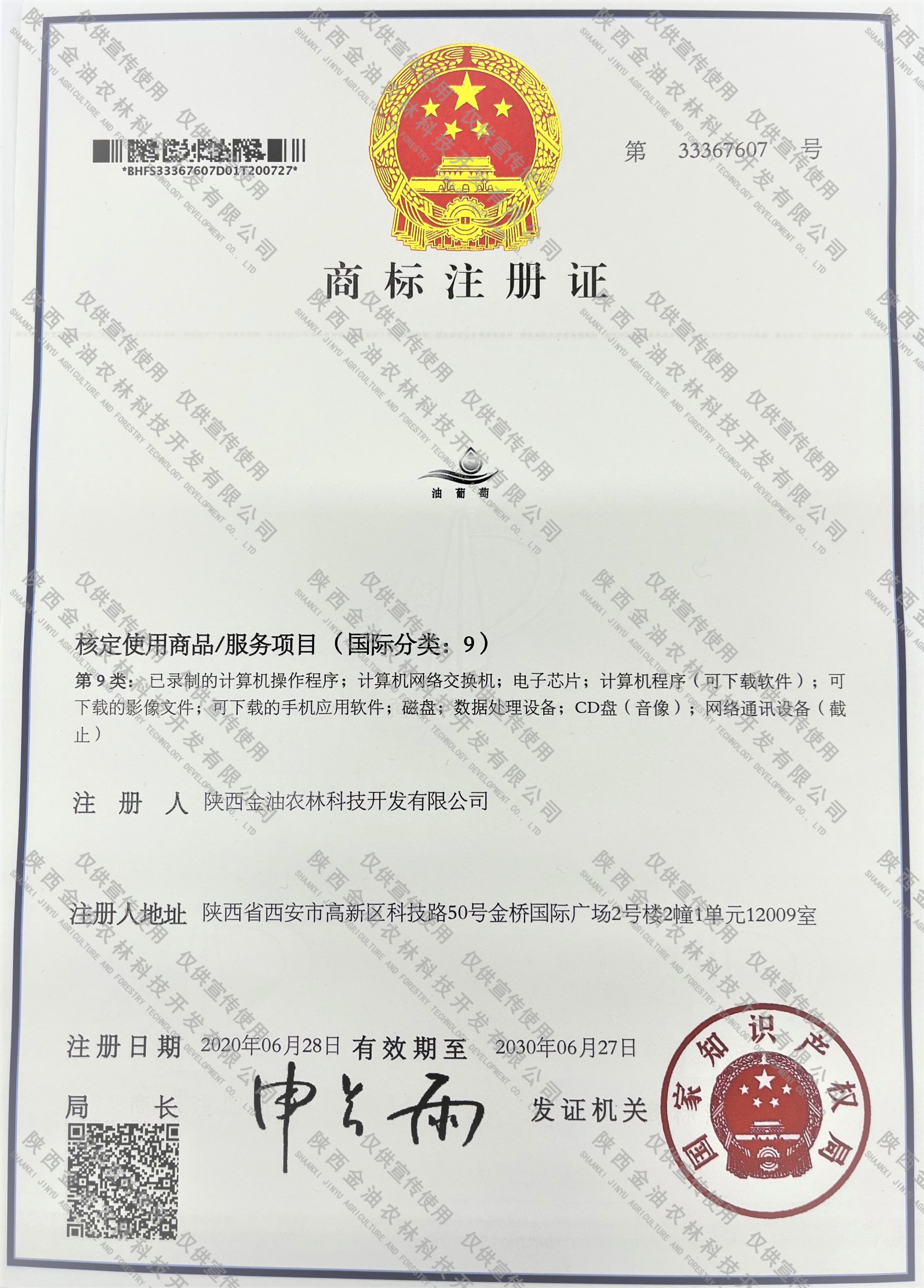 输入图片说明