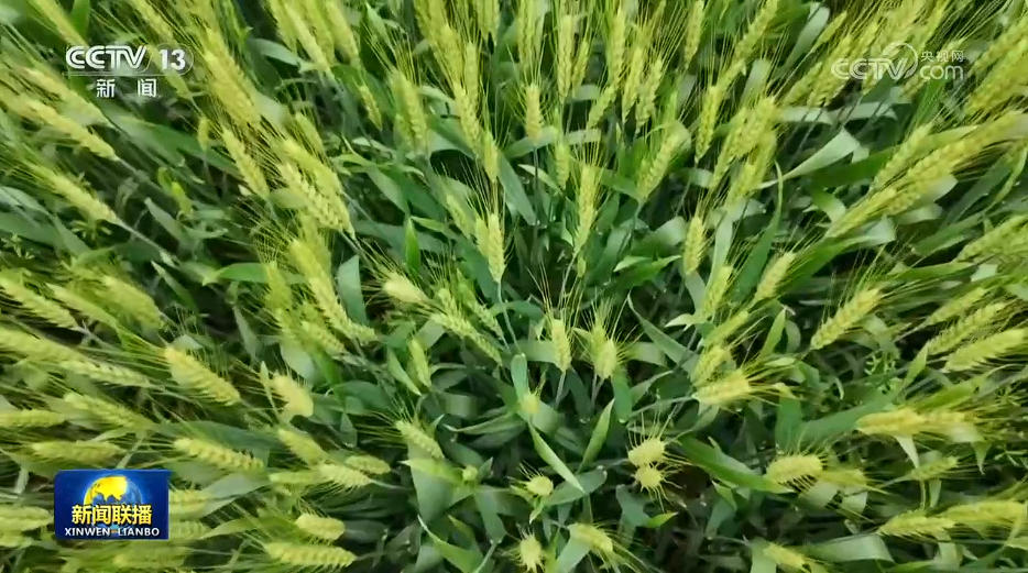 输入图片说明