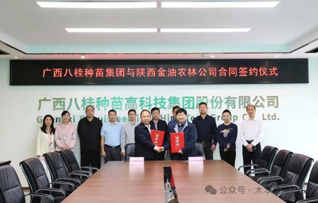输入图片说明